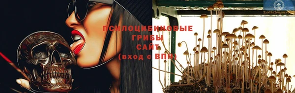мдпв Верхний Тагил