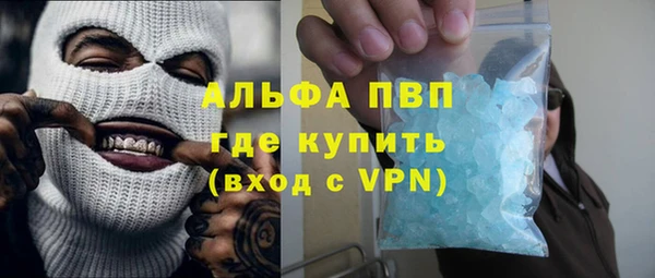 PSILOCYBIN Бородино