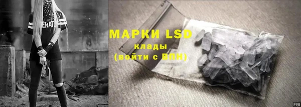PSILOCYBIN Бородино