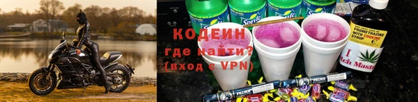 ECSTASY Белокуриха