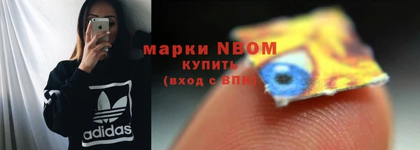 PSILOCYBIN Бородино
