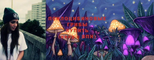 spice Бронницы