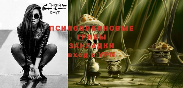мдпв Верхний Тагил