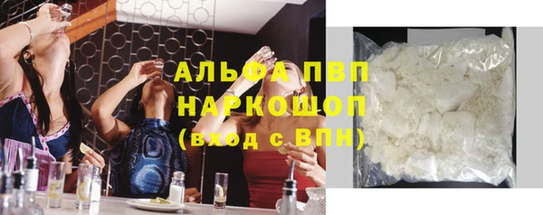 PSILOCYBIN Бородино