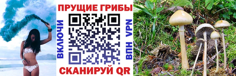 мега Катайск Галлюциногенные грибы GOLDEN TEACHER